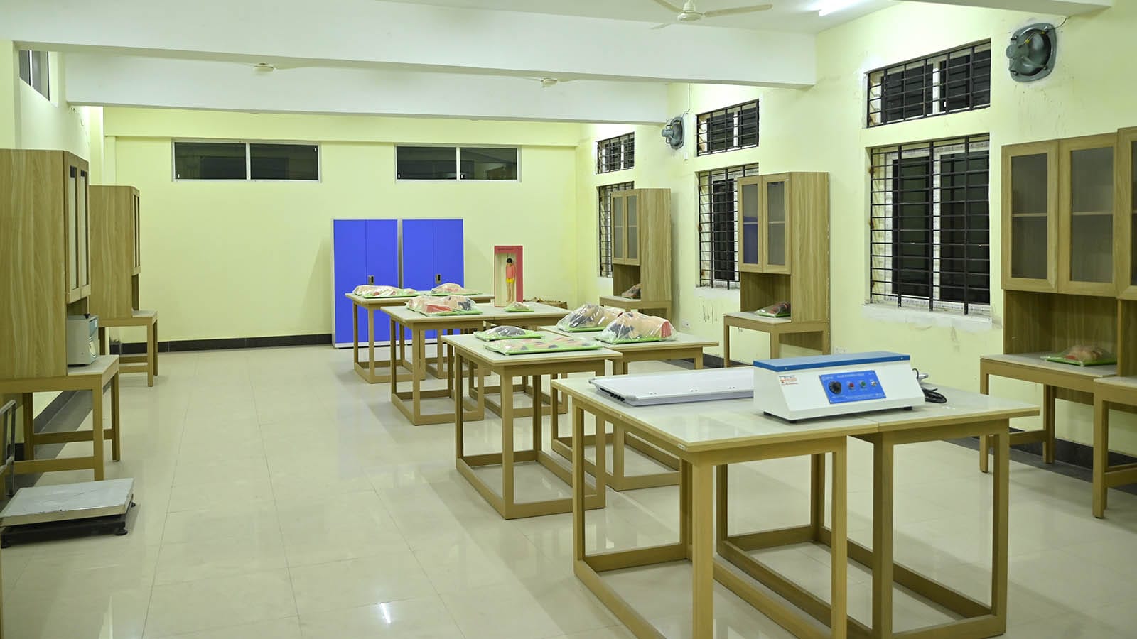 FORENSIC MESUEM 3