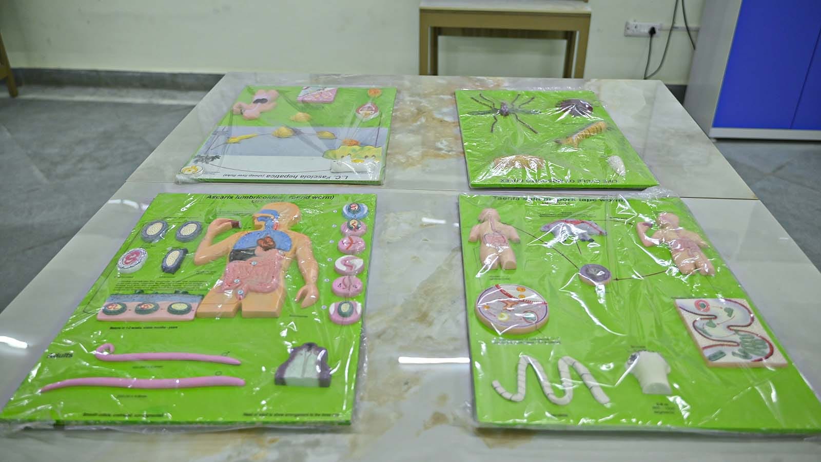 Microbiology Museum 1
