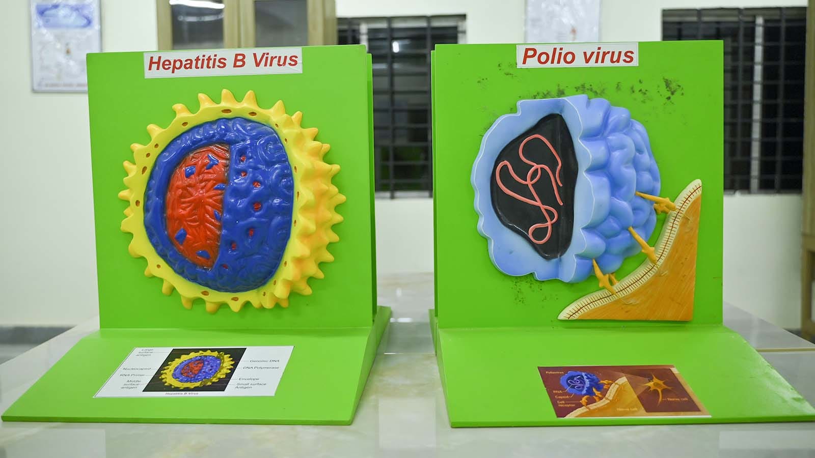Microbiology Museum 2