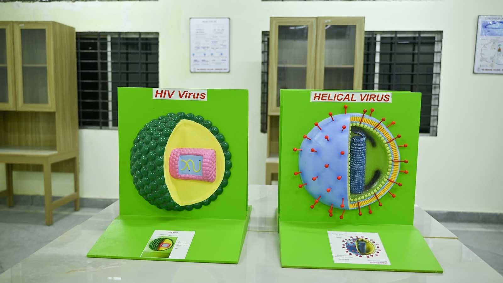 Microbiology Museum 4