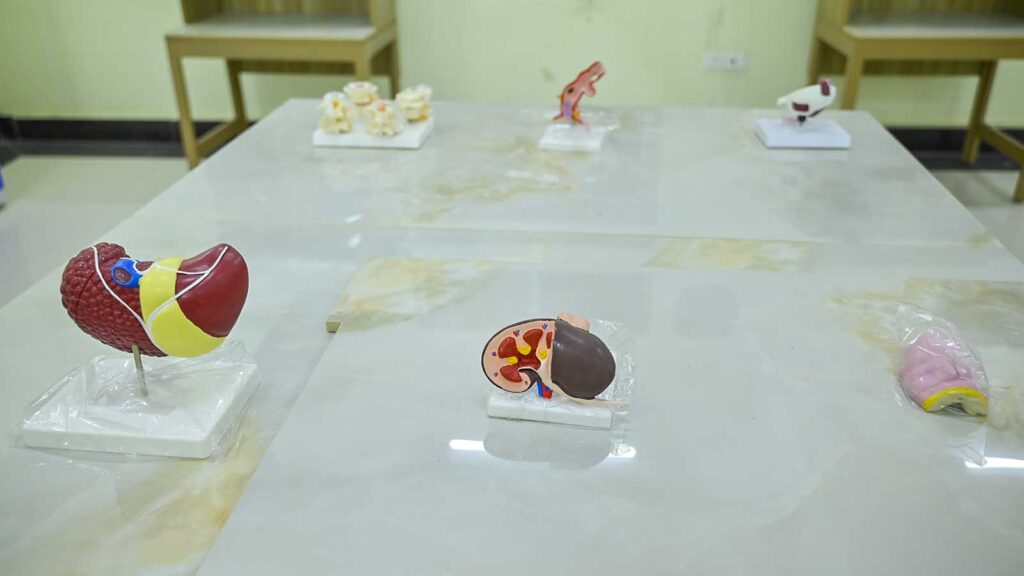 Pathology 6