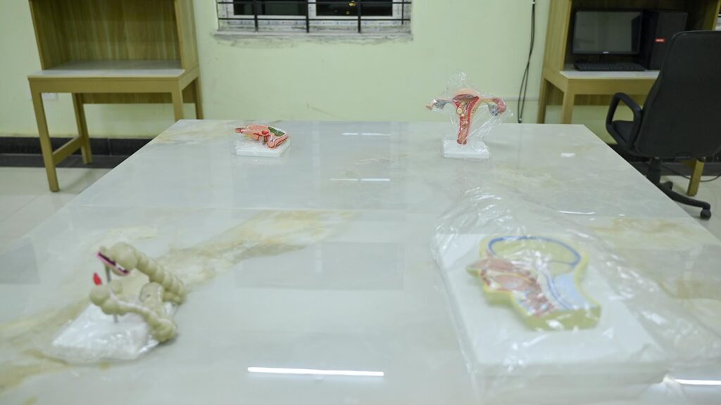 Pathology 8